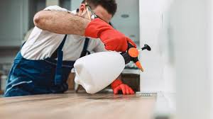 Best Residential Pest Control  in Bridgeport, WA